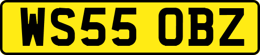 WS55OBZ