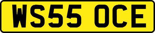 WS55OCE