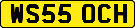 WS55OCH