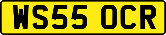 WS55OCR