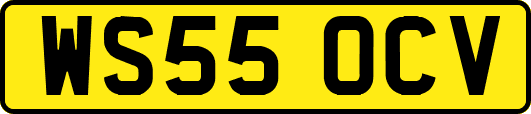 WS55OCV