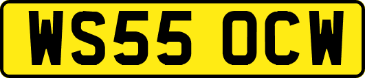 WS55OCW