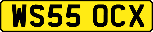 WS55OCX