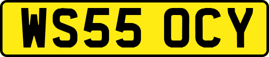 WS55OCY
