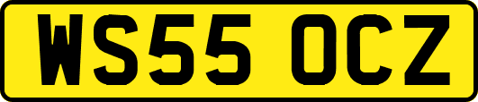 WS55OCZ