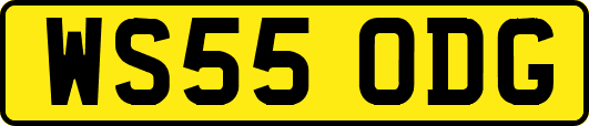 WS55ODG