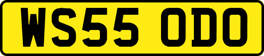 WS55ODO
