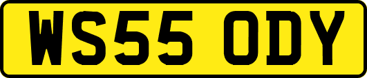 WS55ODY