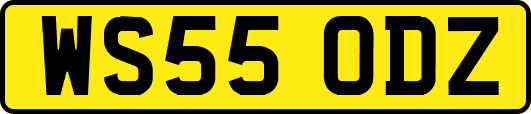 WS55ODZ
