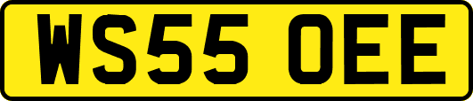 WS55OEE