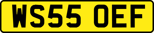WS55OEF
