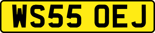 WS55OEJ