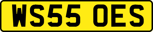 WS55OES