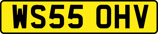 WS55OHV