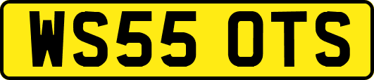 WS55OTS