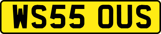 WS55OUS