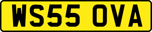 WS55OVA