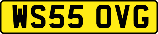 WS55OVG