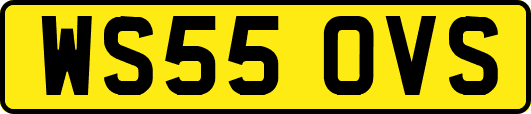 WS55OVS