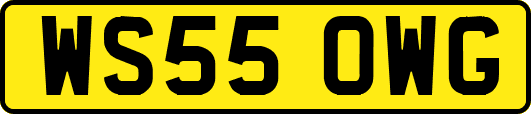 WS55OWG