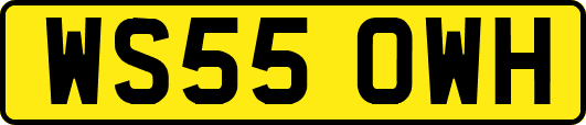 WS55OWH