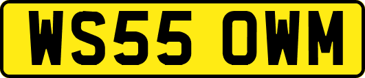 WS55OWM