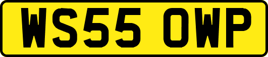 WS55OWP