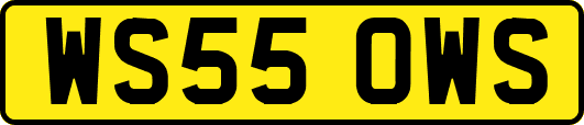 WS55OWS