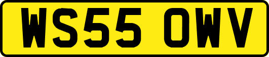 WS55OWV
