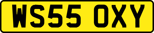 WS55OXY