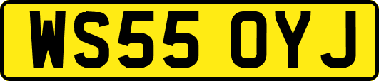 WS55OYJ