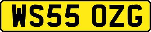 WS55OZG