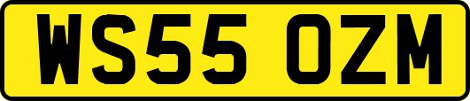 WS55OZM