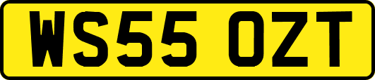 WS55OZT