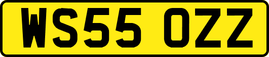 WS55OZZ
