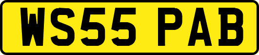 WS55PAB