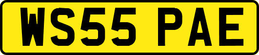 WS55PAE