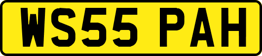 WS55PAH