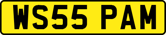 WS55PAM