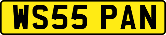 WS55PAN