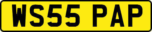WS55PAP