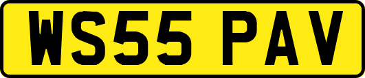 WS55PAV
