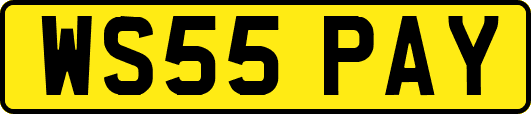 WS55PAY