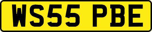 WS55PBE