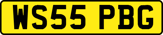 WS55PBG