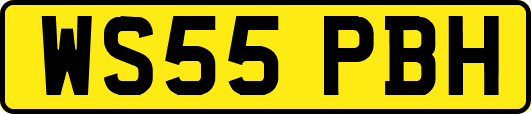WS55PBH