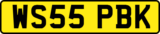 WS55PBK