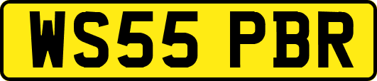 WS55PBR