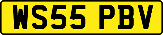 WS55PBV