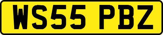 WS55PBZ